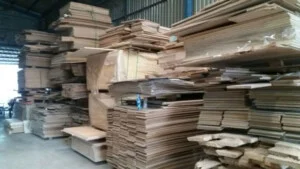 Thu Mua Ván ép Chí Bảo – Cơ Sở Chí Bảo