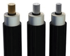 Công Ty Cổ Phần Usakan Việt Nam