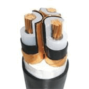 Công Ty Cổ Phần Usakan Việt Nam