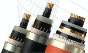 Công Ty Cổ Phần Usakan Việt Nam