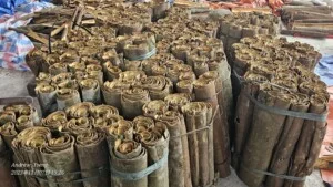 Thiết Bị Điện Thăng Hoa – Công Ty TNHH Thương Mại Xây Dựng Điện Thăng Hoa