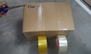 Công Ty TNHH Elon Việt Nam