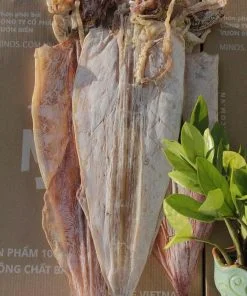 Công Ty TNHH Thương Mại Và Du Lịch Dotravel