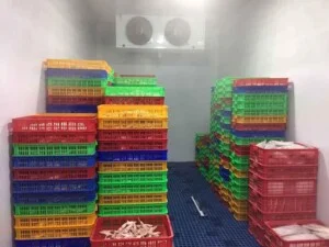 Công Ty CP Điện Lạnh Công Nghiệp Tuấn Minh