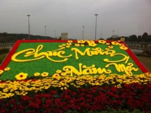 Công Ty TNHH Cảnh Quan Xanh