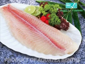 Lưới Thép Shin Chang – Công Ty TNHH Công Nghiệp Thép Shin Chang