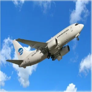 Công Ty Cổ Phần Vận Tải Và Dịch Vụ á Mỹ