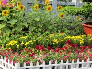 Công Ty TNHH Cảnh Quan Xanh