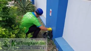 Diệt Mối Khử Trùng Xanh – Công Ty TNHH Khử Trùng Xanh