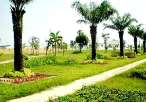 Công Ty TNHH Một Thành Viên Cây Cảnh Thế Giới