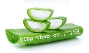 Công Ty TNHH Diệp Thảo