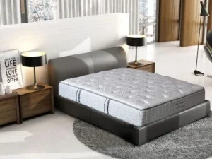 Công Ty Cổ Phần May Sông Hồng – Chi Nhánh Thành Phố Hồ Chí Minh