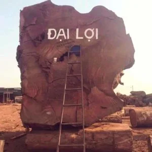 Công Ty TNHH Thương Mại Đại Lợi