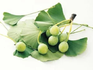 Dược Liệu Đức Phú – Công Ty Cổ Phần Nông Lâm Nghiệp Đức Phú