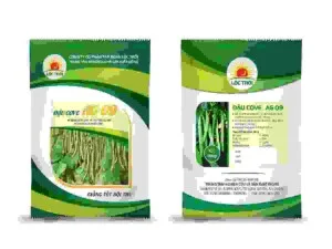 Bao PP Dệt Express Box – Công Ty TNHH Express Box