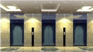 Công Ty TNHH Đông Quang