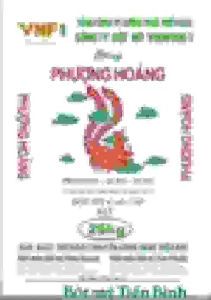 VNF1 Flour – Công Ty Cổ Phần Bột Mỳ Vinafood 1