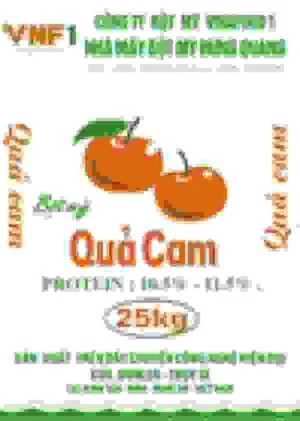 VNF1 Flour – Công Ty Cổ Phần Bột Mỳ Vinafood 1