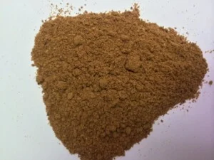 Công Ty TNHH Xuất Nhập Khẩu Tổng Hợp Phương Đông