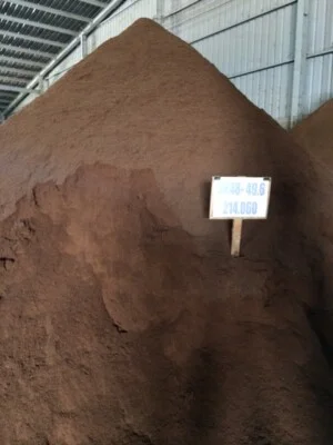 Công Ty TNHH Xuất Nhập Khẩu Tổng Hợp Phương Đông