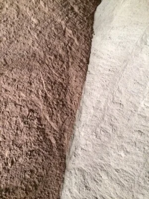 Công Ty TNHH Xuất Nhập Khẩu Tổng Hợp Phương Đông