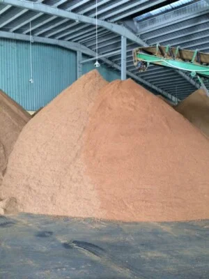 Công Ty TNHH Xuất Nhập Khẩu Tổng Hợp Phương Đông