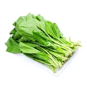 Cửa Hàng Thực Phẩm Nhật Bản Minh Nhật