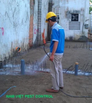 Công Ty TNHH Thương Mại Và Dịch Vụ Trừ Mối Nam Việt