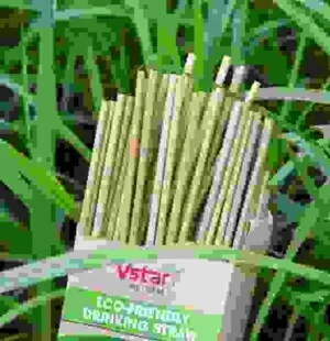 Ống Hút Tự Nhiên V Star Việt Nam – Công Ty TNHH V Star Việt Nam