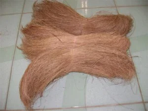 Viet Star Sài Gòn – Công Ty TNHH Xuất Nhập Khẩu Việt Sao Sài Gòn