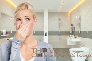 Đội Vệ Sinh Công Cộng Thành Phố