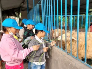 Hộ Kinh Doanh Vườn Hoa Và Nghỉ Dưỡng Sa Nhiên – Sa Nhiên Gardens & Homestay
