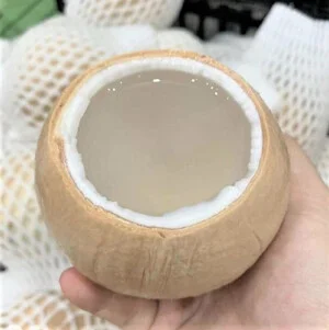 Nông Sản Nhà Huỳnh  – Công Ty TNHH Nông Sản Nhà Huỳnh
