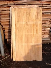 Công Ty TNHH Cát Tường