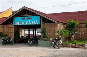 Công Ty TNHH Du Lịch Cà Ná