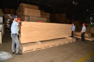 Ván Sàn Gỗ Kim Thành A – Công Ty TNHH Kim Thành A