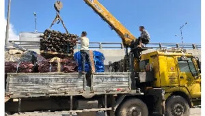 Công Ty TNHH Thương Mại Dịch Vụ Vận Tải Đức Thảo