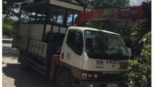Công Ty TNHH Thương Mại Dịch Vụ Vận Tải Đức Thảo