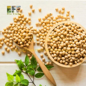Gạo ECO FLOFO – Công Ty TNHH Sản Xuất và Thương Mại Toàn Cầu ECO FLOFO