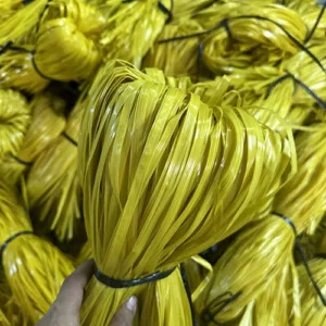 Dây Nilon Văn Phát – Chi Nhánh Công Ty TNHH Một Thành Viên Văn Phát