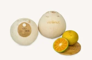 Viconut – Công Ty TNHH SX Và TM Bilicom Việt Nam