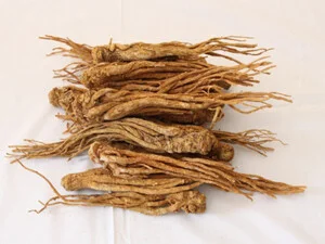 Dược Liệu Đức Phú – Công Ty Cổ Phần Nông Lâm Nghiệp Đức Phú