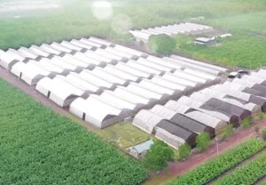 Unifarm – Công Ty CP Nông Nghiệp U&I