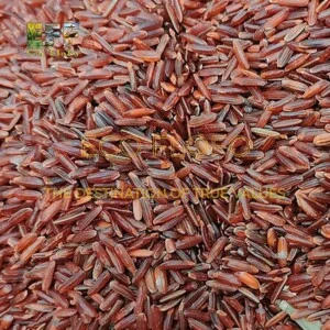 Gạo ECO FLOFO – Công Ty TNHH Sản Xuất và Thương Mại Toàn Cầu ECO FLOFO