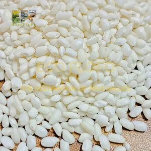 Gạo ECO FLOFO – Công Ty TNHH Sản Xuất và Thương Mại Toàn Cầu ECO FLOFO