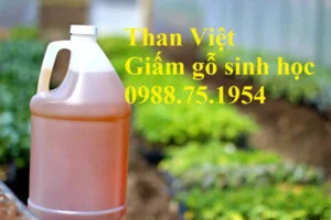 Than Tái Tạo Việt – Công Ty Cổ Phần Năng Lượng Tái Tạo Việt