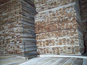 Công Ty TNHH Xuất Nhập Khẩu Và Dịch Vụ Hồng Phát