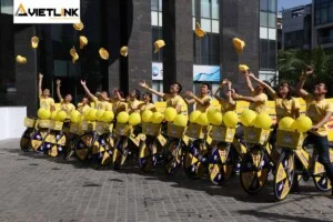 Công Ty CP Tiếp Thị Truyền Thông Vietlink