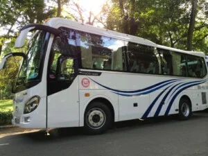 Doanh Nghiệp Tư Nhân Vy Vy