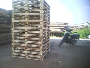 Công Ty Trách Nhiệm Hữu Hạn Hoa Đại